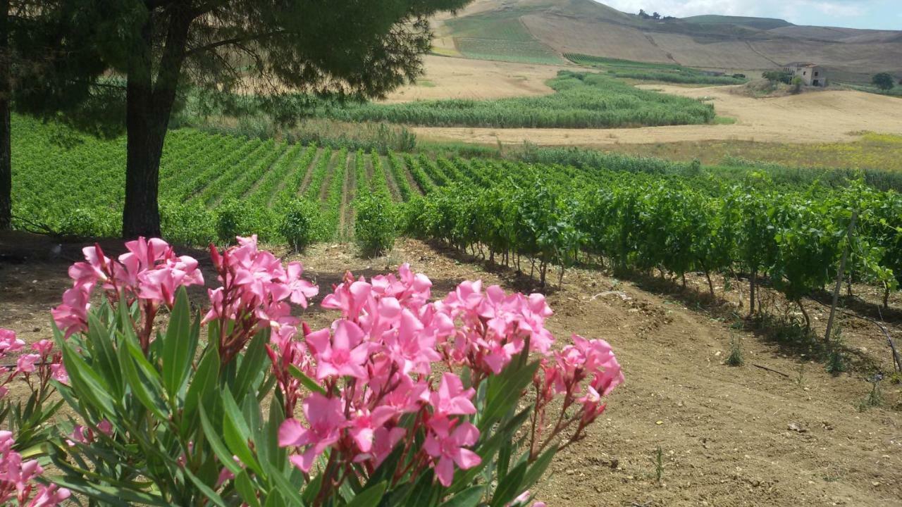 Bed and Breakfast Terre Di Gratia Camporeale Экстерьер фото